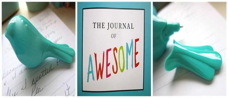 The Journal Of Awesome 